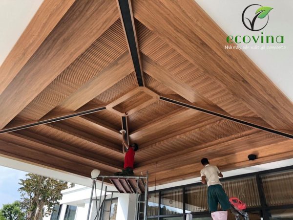 ecovina 120053024 173337941078167 1072849804001639070 o