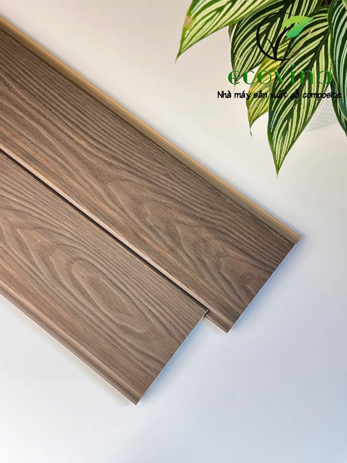 EW118T16 Cafe – Sự kết hợp giữa thẩm mỹ và độ bền