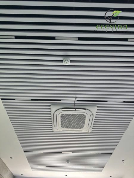 EW60T40 mau 20 11